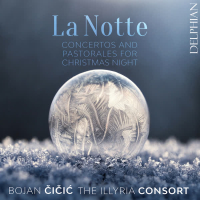Concerto for Violin and Strings, RV 104 in G Minor ‘La notte’: I. Largo (Single)