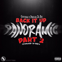 Back It Up: Panoramic, Pt. 2 (feat. Priceless Da Roc) (EP)