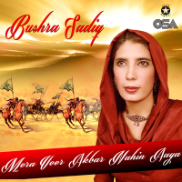 Mera Veer Akbar Nahin Aaya