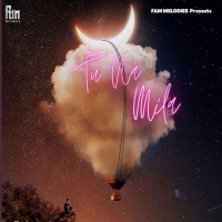Tu Na Mila (Slowed & Reverb) (Single)