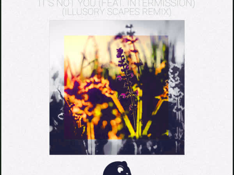 It's Not You (feat. Intermission) [Illusory Scapes Remix] (Single)