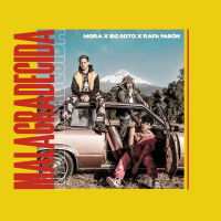 Malagradecida (Single)