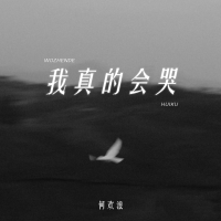 我真的会哭 (Single)
