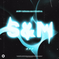 S&M (Techno Mix) (Single)