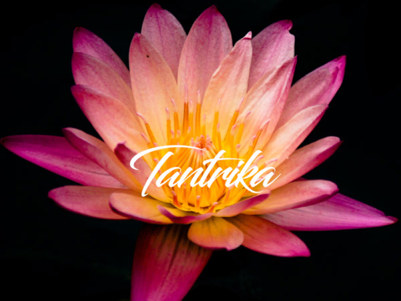 Tantrika (Single)