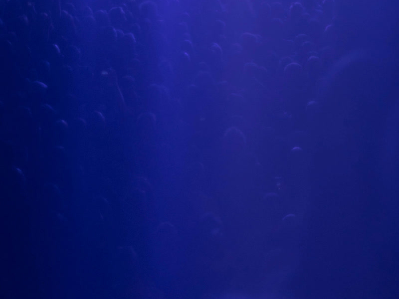 Caruso (Live) (Single)