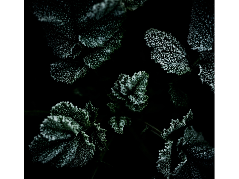 Far Away Road (Single)