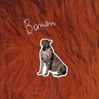 Bomen (Single)