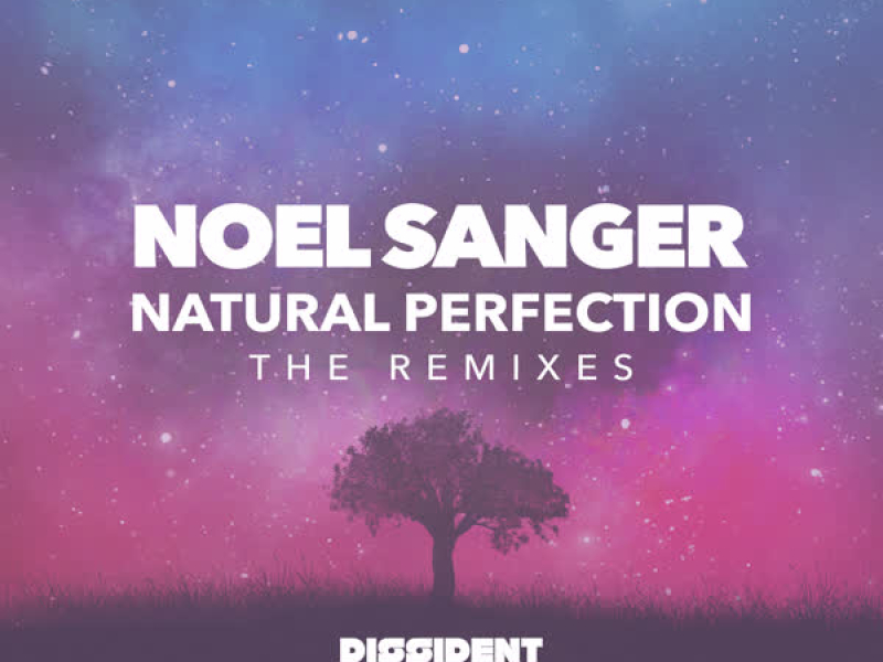 Natural Pefection (The Remixes)