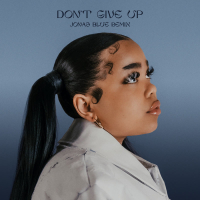 Don't Give Up (Jonas Blue Remix) (Single)