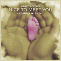 Nice To Meet You (feat. NATHAN BRUMLEY) (Acoustic) (Single)