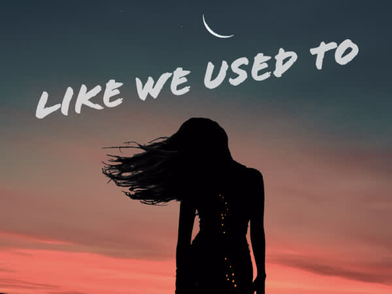 Like We Used To (Single)