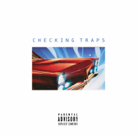 Checking Traps (Single)