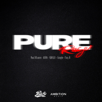 PURE RAGE (Remix) (Single)