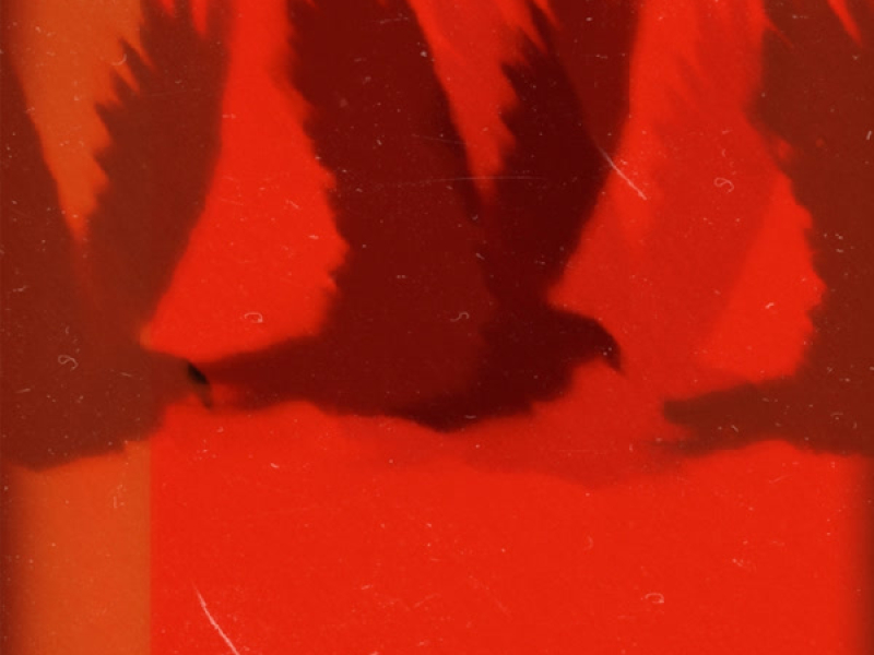 VIBE SURREAL (Single)