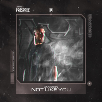Not Like You (Single)