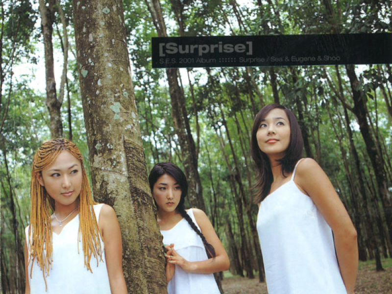 Surprise - The 4.5th Album