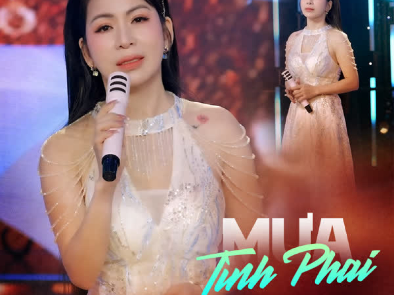 Mưa Tình Phai (Single)