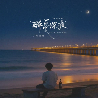 醉爱深夜 (粤语金曲) (Single)