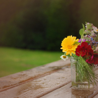 Relax and Fall Asleep with Summer Rain Sound (Single)