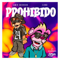 Prohibido (Single)