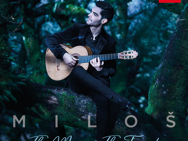 Schumann: Kinderszenen, Op. 15: Träumerei (Arr. Lewin for Guitar) (Single)