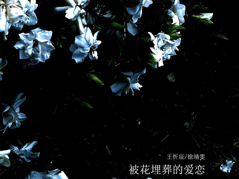 被花埋葬的爱恋 (Single)