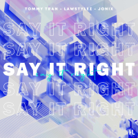 Say It Right (Techno) (Single)