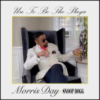 Use To Be The Playa (Single)