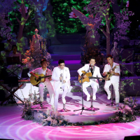 Chiếc Lá Mùa Đông (Live Version) (Single)