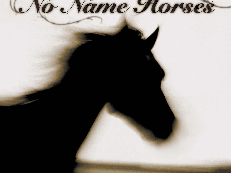 No Name Horses