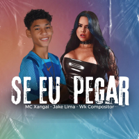 Se Eu Pegar (Single)