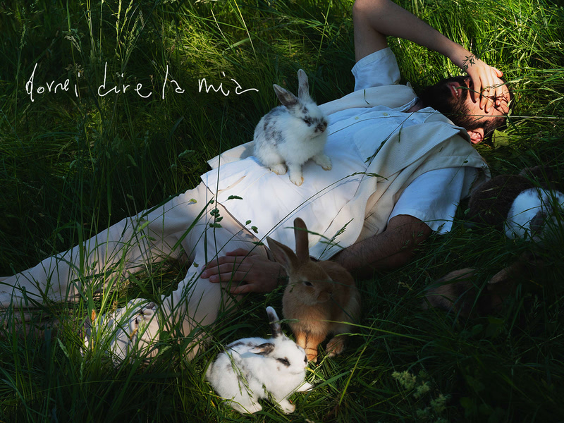 Dovrei dire la mia (Single)