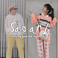 Sao Anh Không Gặp Em Sớm Nhỉ? (Single)