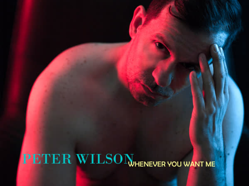 Whenever You Want Me / Surrender EP