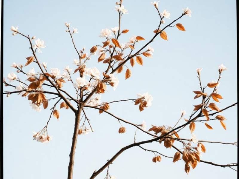 yang lalu biarlah berlalu (Single)