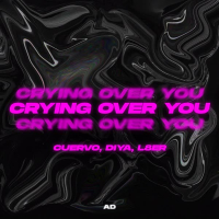 Crying Over You (Single)
