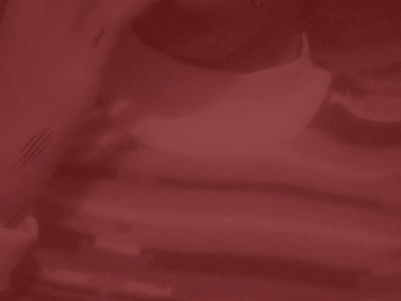 The Downfall (Below The Ground Edition)