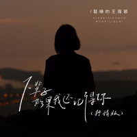 下辈子如果我还记得你 (DJ豪大大版) (Single)
