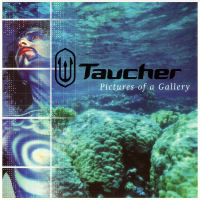 Pictures of a Gallery (Single)