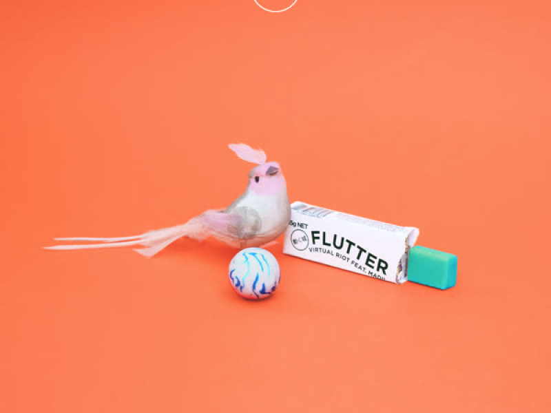 Flutter (Single)