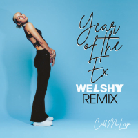 Year of the Ex (Welshy Remix) (Single)