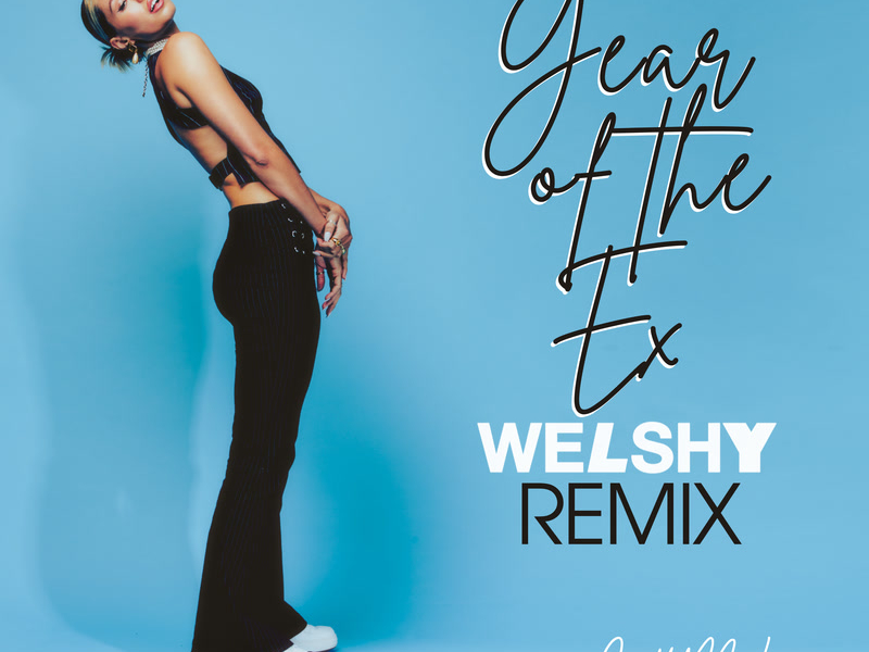 Year of the Ex (Welshy Remix) (Single)