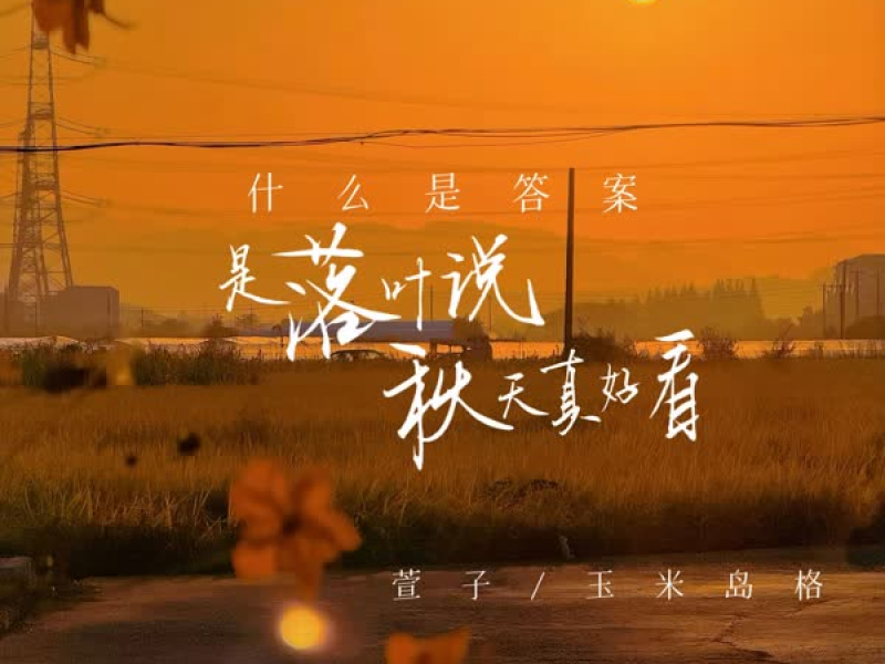 什么是答案 是落叶说秋天真好看 (Single)
