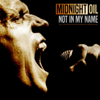 Not In My Name (Live 1993) (Single)