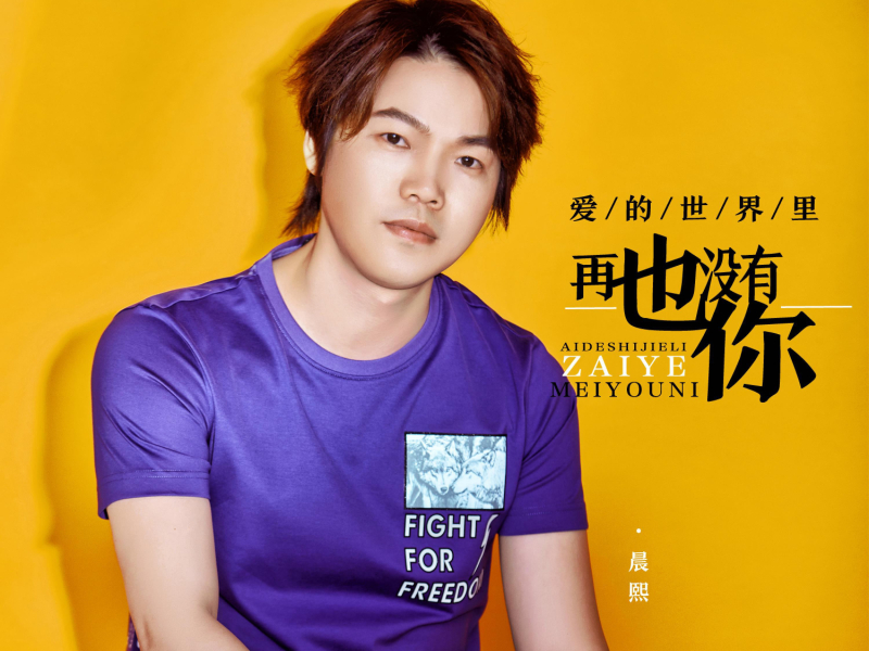 爱的世界里再也没有你 (Single)