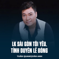 LK Sài Gòn Tôi Yêu, Tình Duyên Lẻ Bóng (Single)