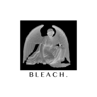 Bleach (Single)