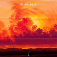 You Make Me Crazy (Single)