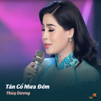 Tân Cổ Mưa Đêm (Single)